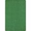 Picture of Just Kidding - Grass Green - 4' x 6'