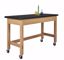 Picture of TABLE, PLAIN, PHENLC TOP, 21X60